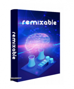 Remix Your Business and Transform Your Life