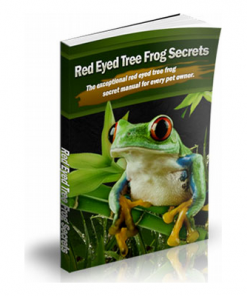 Red eyed tree frog secrets