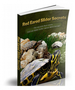 Red eared slider secrets