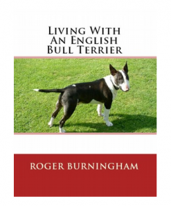 Live With An English Bull Terrier