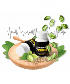 Maintain A Normal Hearing