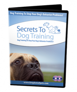 Fix Dog Behavior Problems