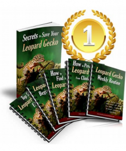 How To Save Your Leopard Gecko